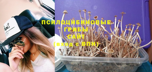 дурь Коряжма